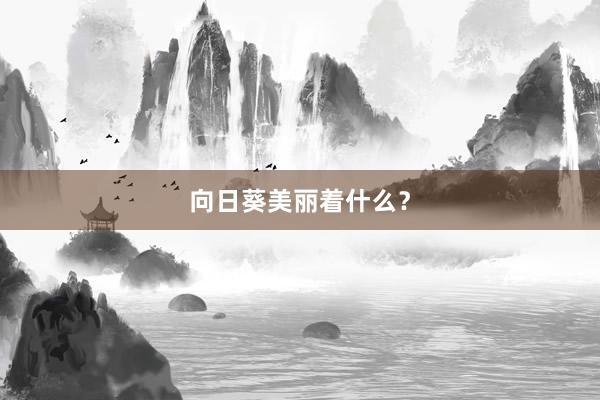 向日葵美丽着什么？