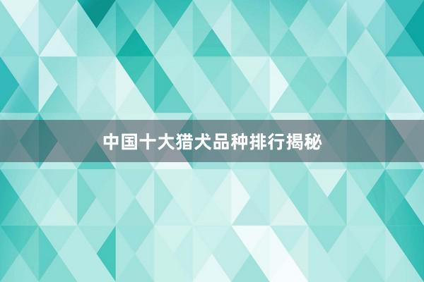 中国十大猎犬品种排行揭秘