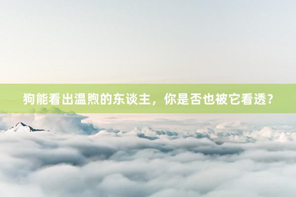 狗能看出温煦的东谈主，你是否也被它看透？