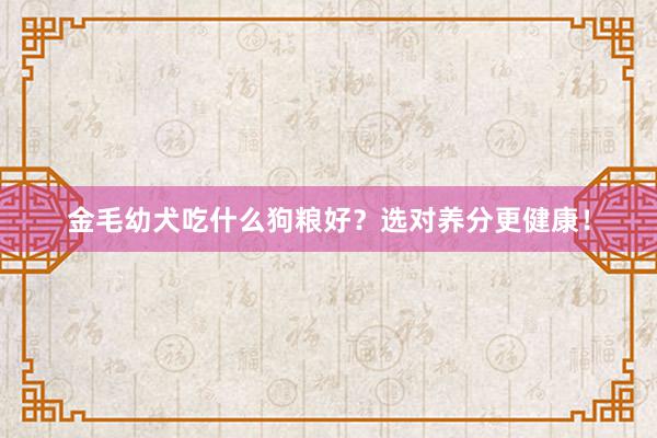 金毛幼犬吃什么狗粮好？选对养分更健康！